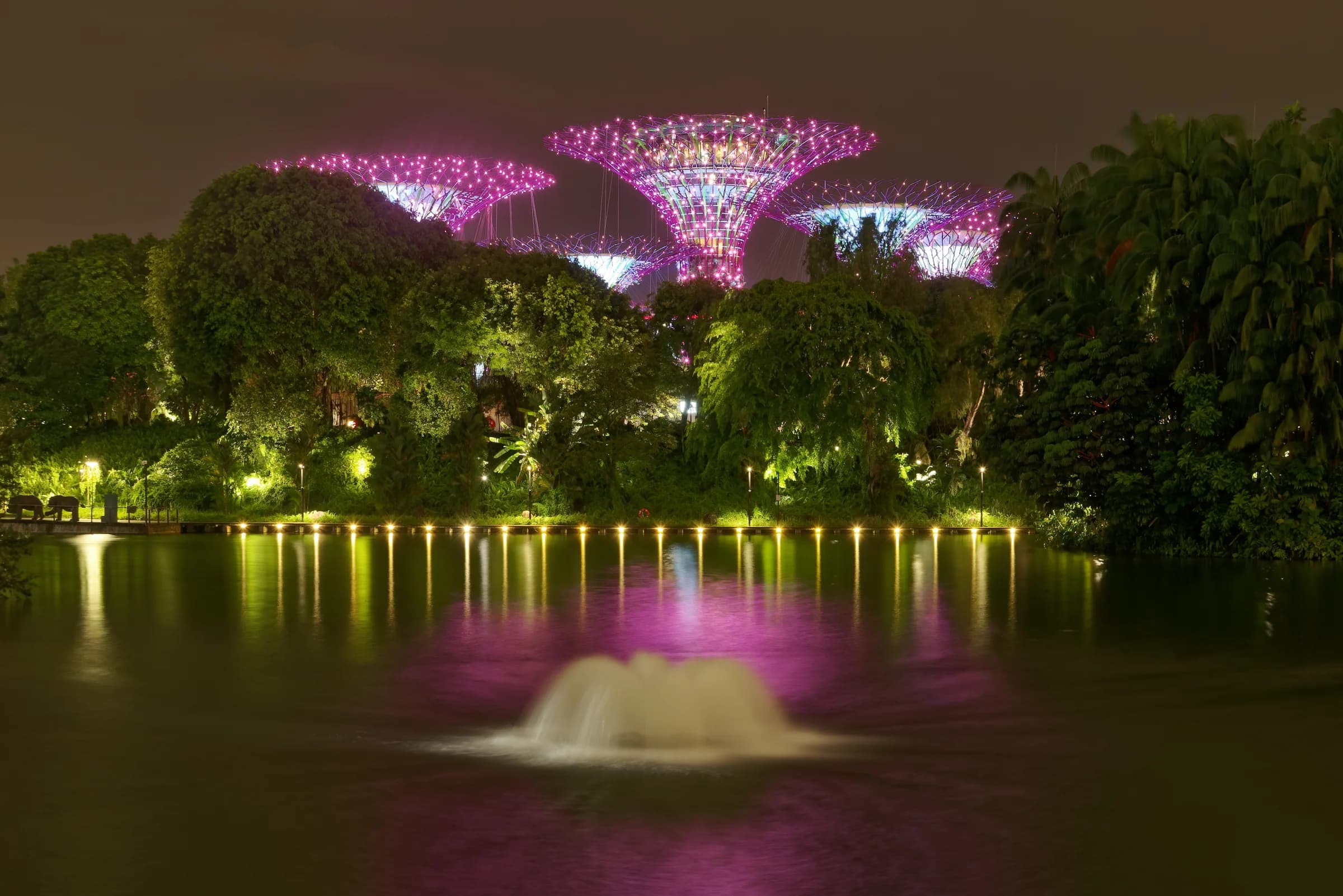 Illuminated Supertrees reflected in the lake at Gardens by the Bay in Singapore