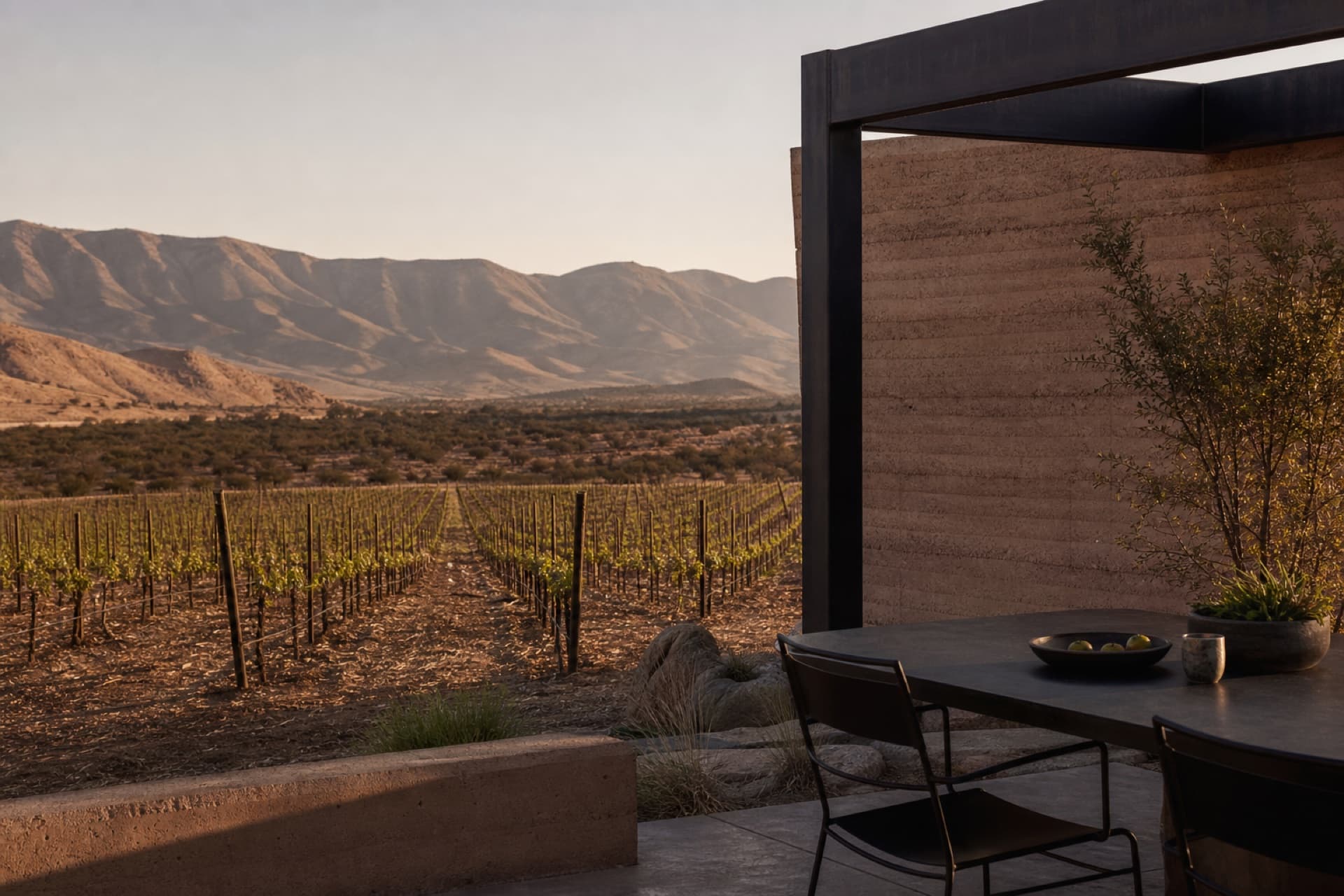 Original UpTrip artwork of a vineyard terrace in Valle de Guadalupe