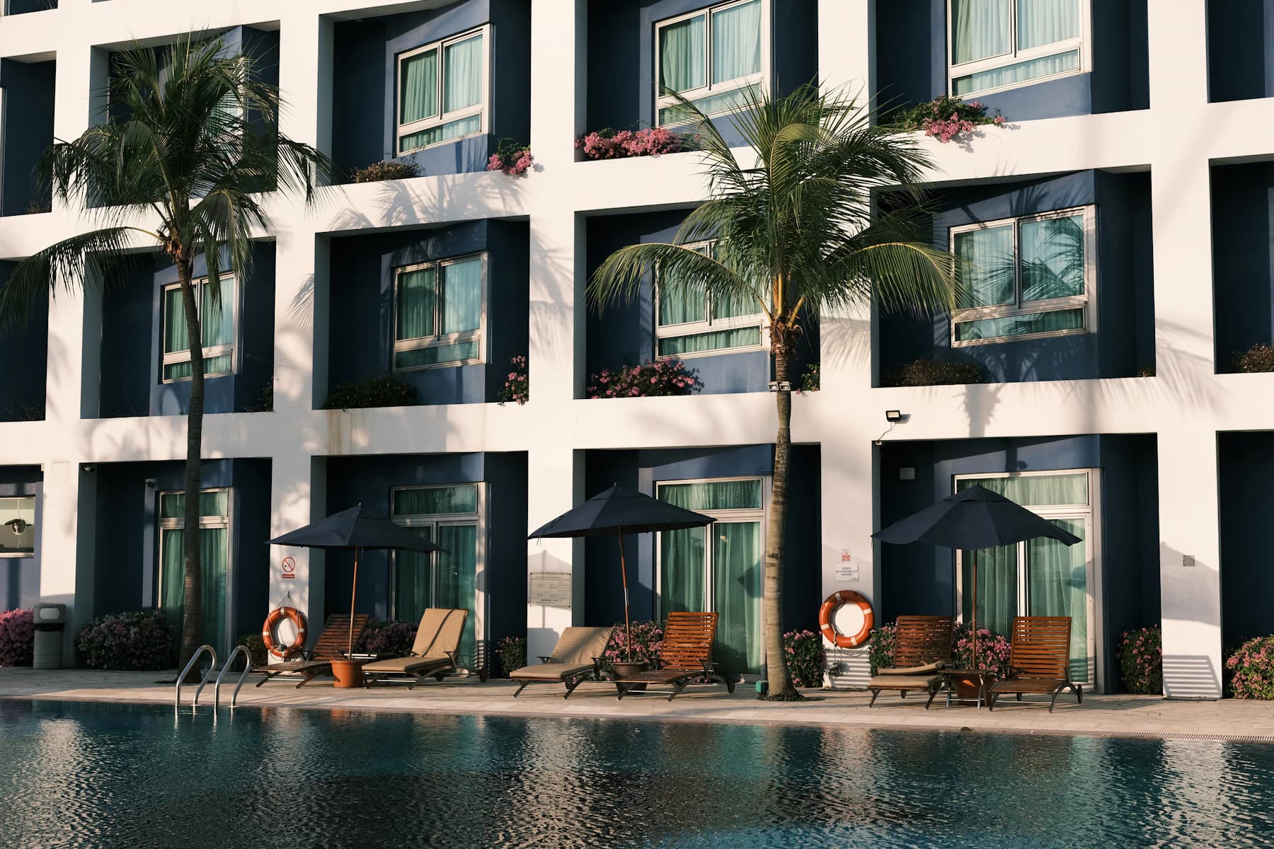 Palm trees beside a bright outdoor swimming pool